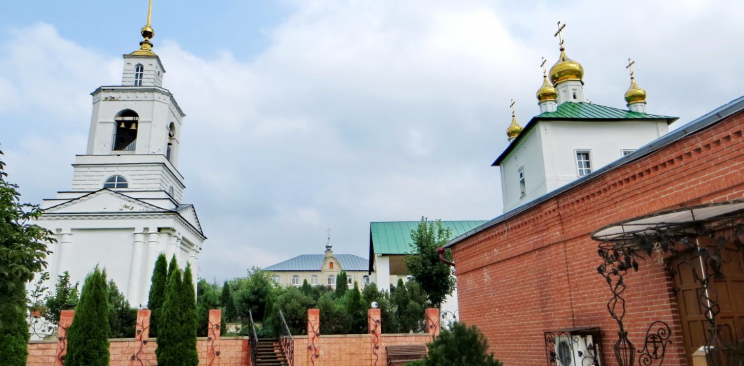 Поездка в Скопин к матушке Феодосии Скопинской