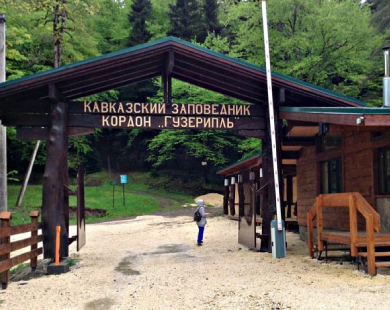 muzey-prirody-kavkazskogo-zapovednika(1).jpg